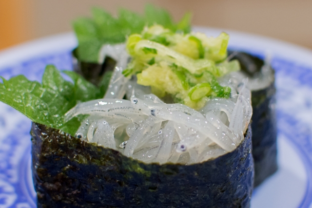 しらすと白魚の違いをわかりやすく解説 食べるのは日本だけ Info Treasure